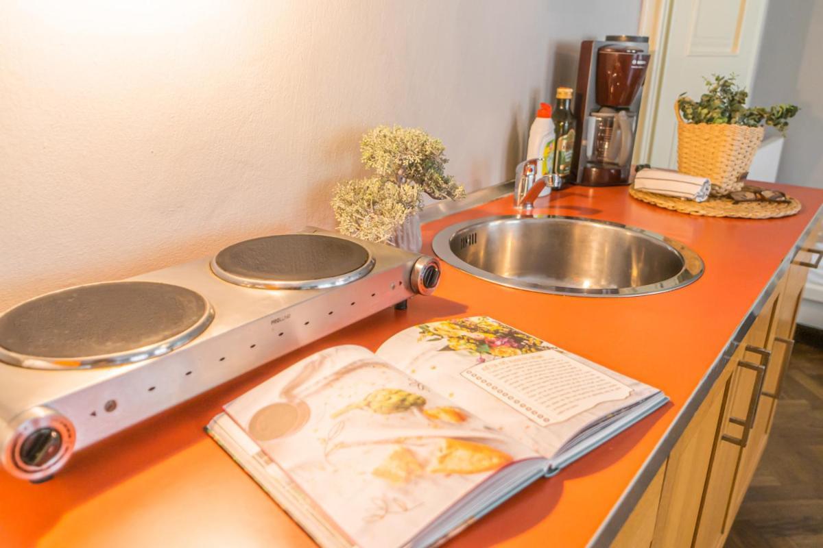 Bright Studio Close To Charles Bridge And Castle Prag